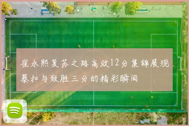 崔永熙复苏之路高效12分集锦展现暴扣与致胜三分的精彩瞬间